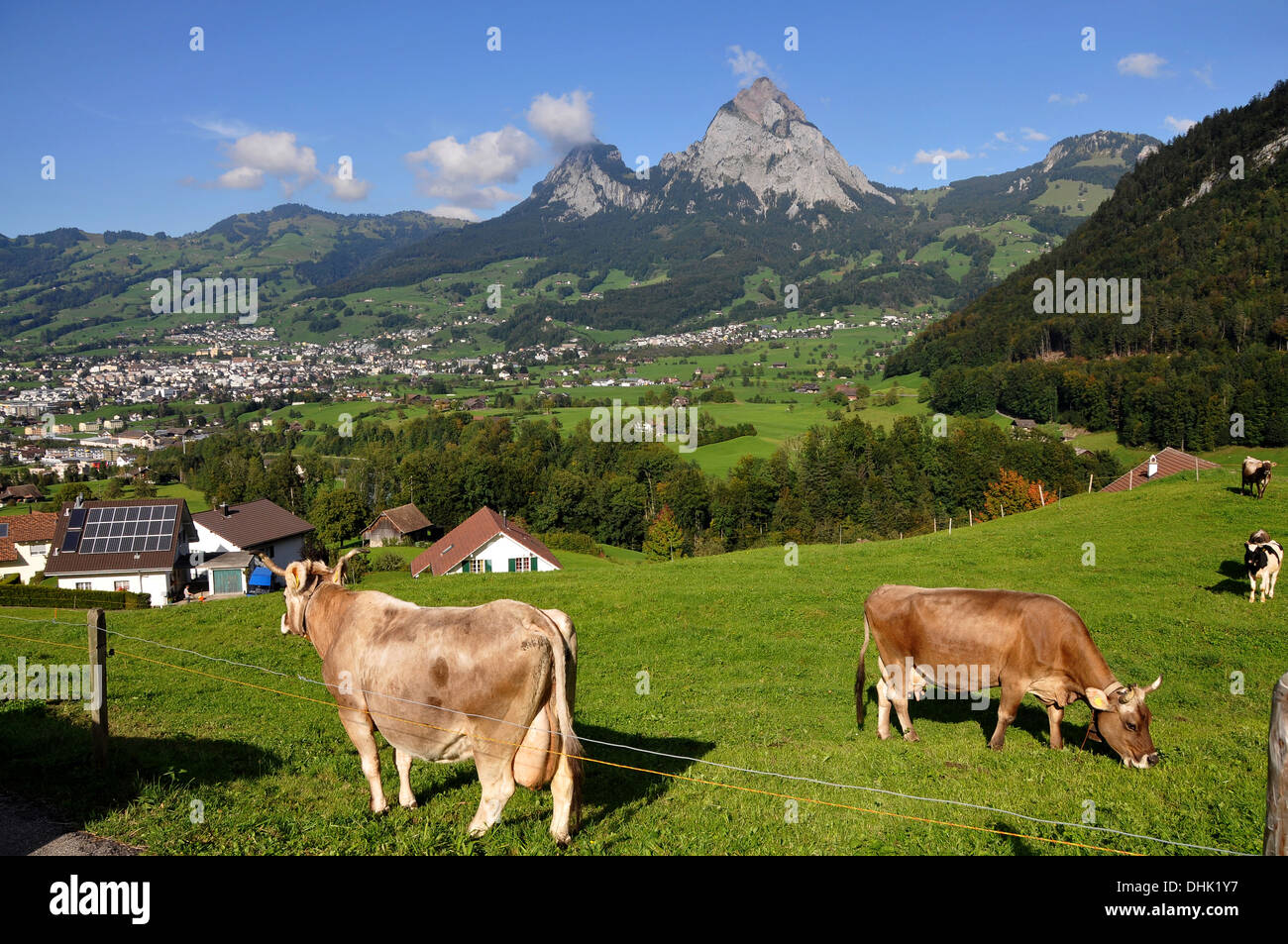 View of the village of Schwyz from south, Canton Schwyz, Centralswitzerland, Switzerland, Europe Stock Photo