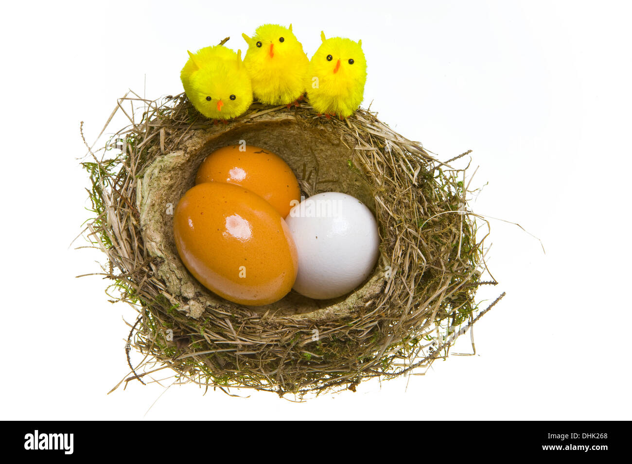 Nest with eggs and chickens Stock Photo