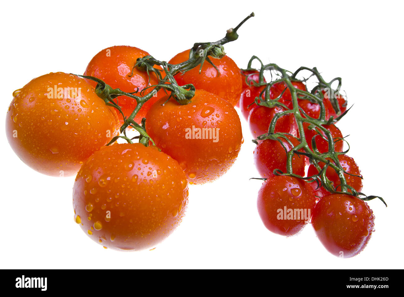Tomatoes on branch in drops of water Stock Photo - Alamy