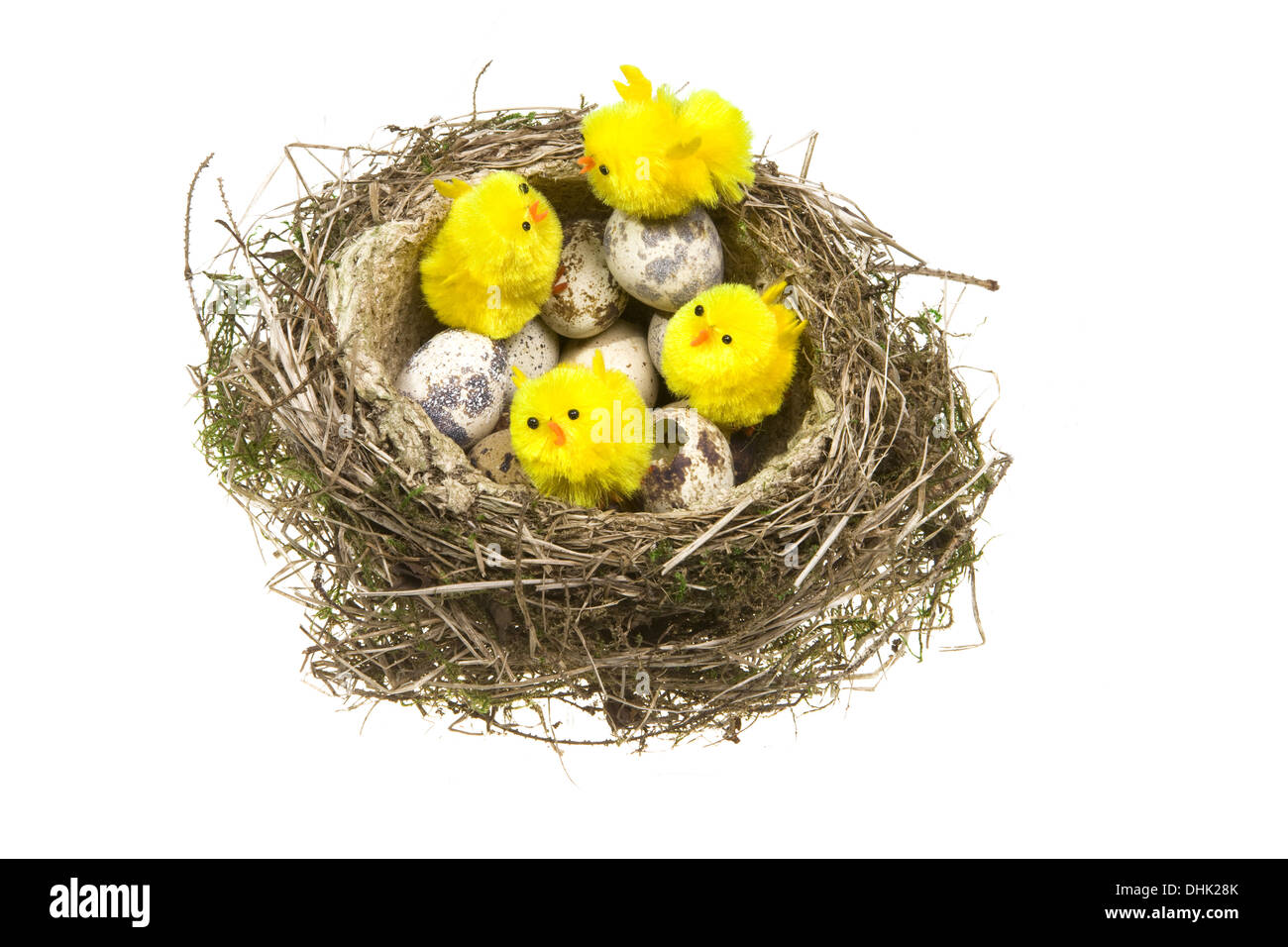 Nest with eggs and chickens Stock Photo