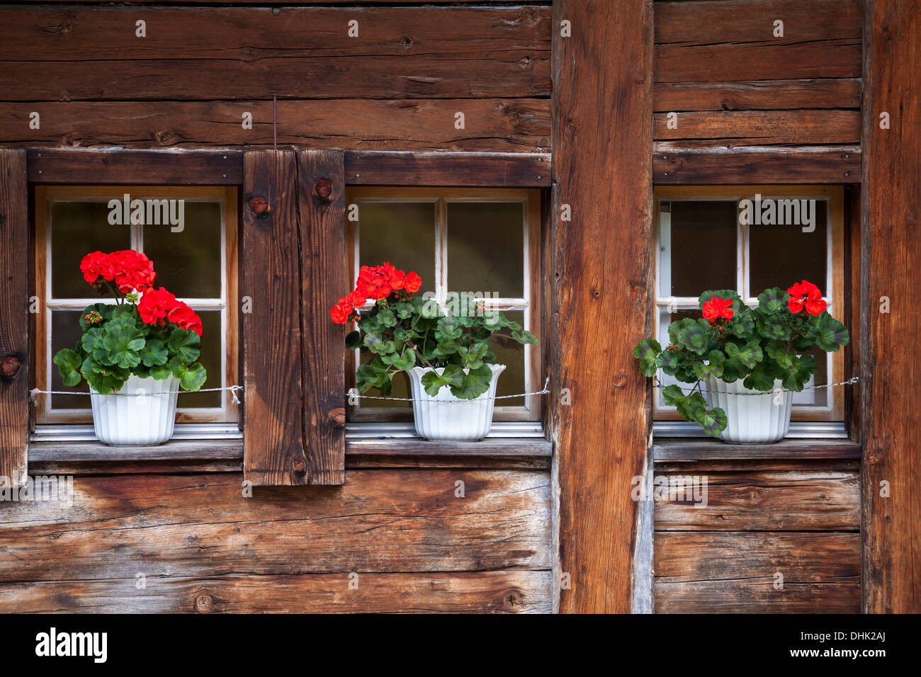 Flowers at the windows of Berghaus am Oeschinensee, Bernese Oberland