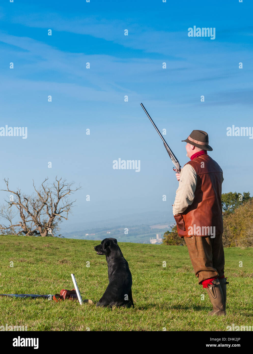 A man with a shot gun stood on a pheasant shoot waiting for the start of the shooting day Stock Photo