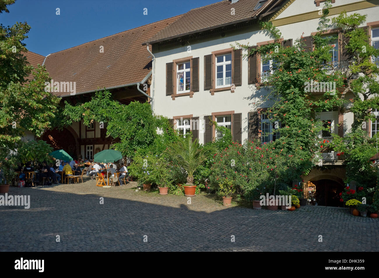 Strausse, traditional small restaurant in the sunlight, Markgraeflerland, Black Forest, Baden-Wuerttemberg, Germany, Europe Stock Photo