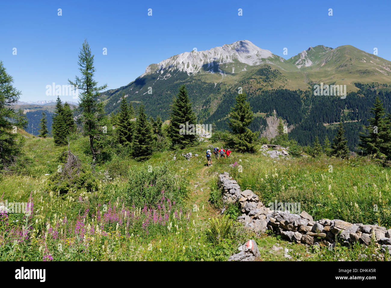 Austria, Carinthia, Carnic Alps, Hikers at Kleiner Pal Stock Photo