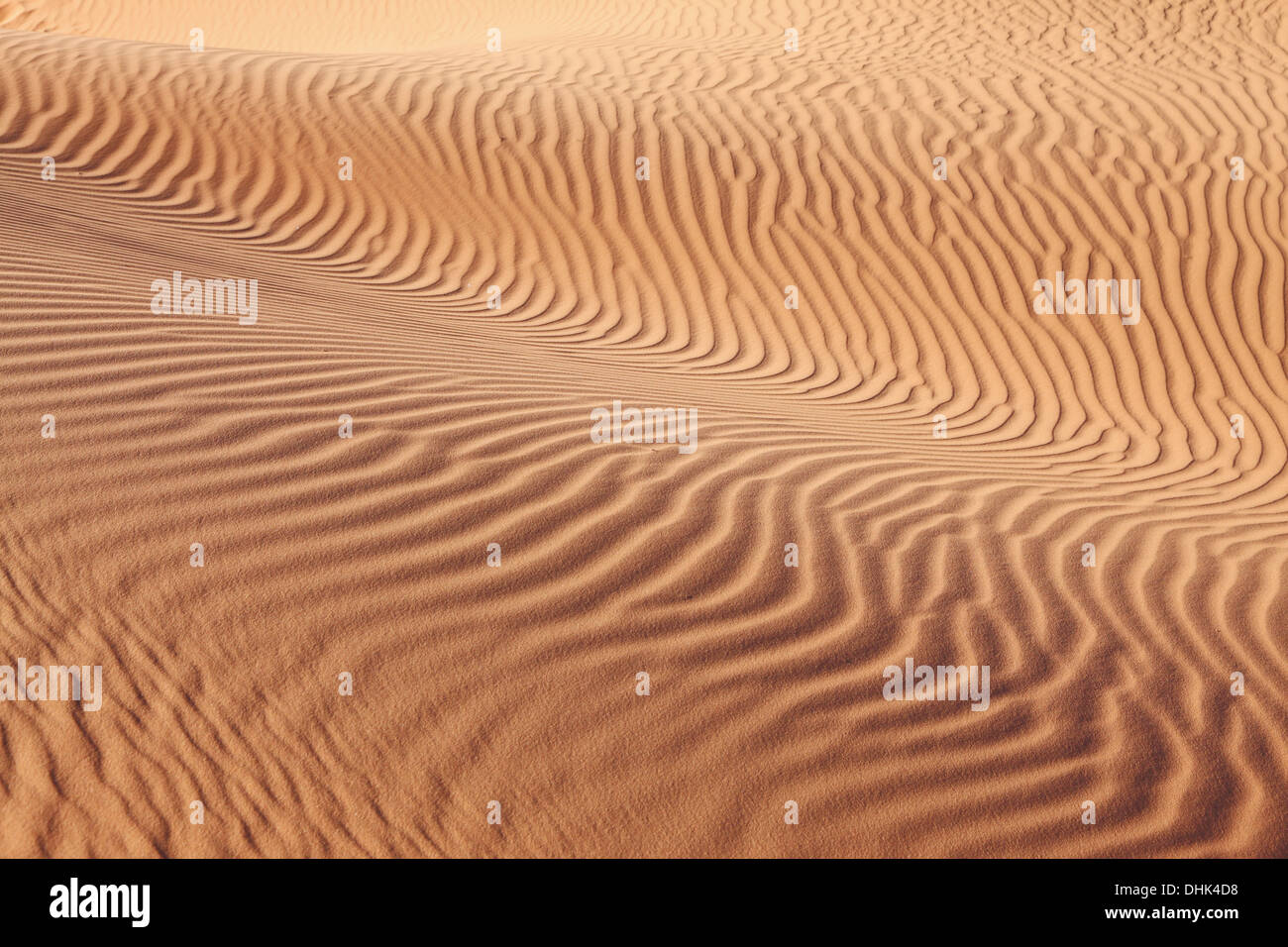 Intricate curves of sand waves Stock Photo