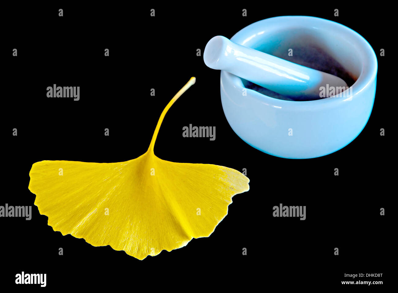 Ginkgo biloba, Chinese medicine tree, mortar with leaves Stock Photo
