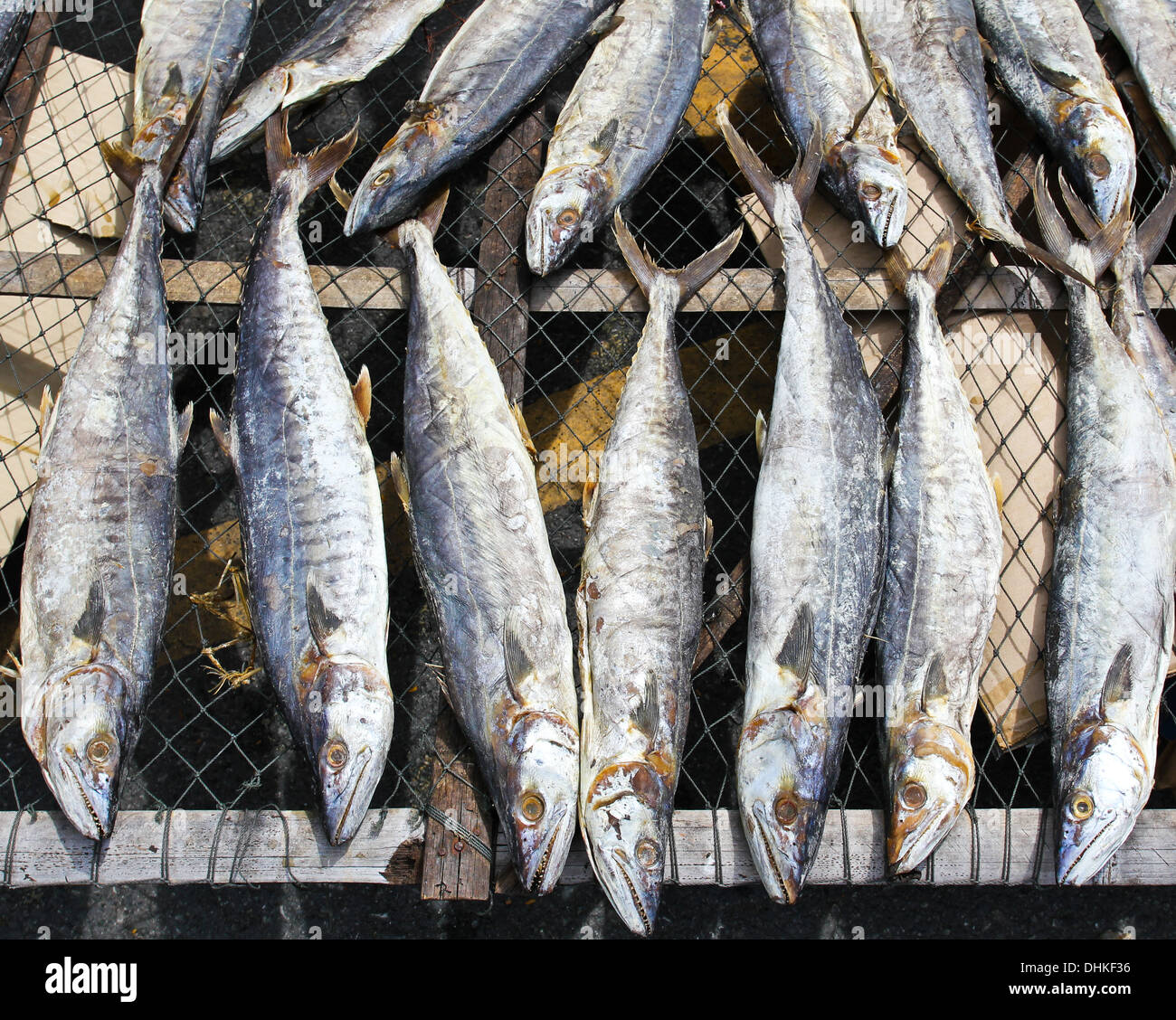 A dried under the sun salty fish gourmet Stock Photo Alamy