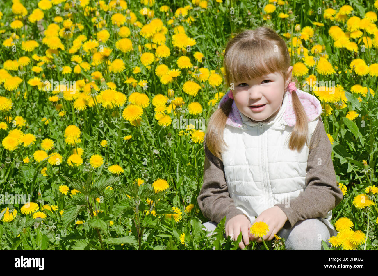 The little beautiful girl collects dandelions Stock Photo - Alamy