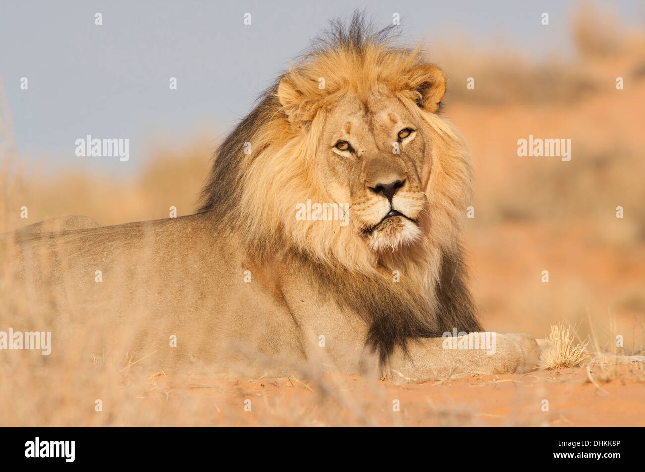 Spa Kalahari \u0026 Salon, image size:1300x953