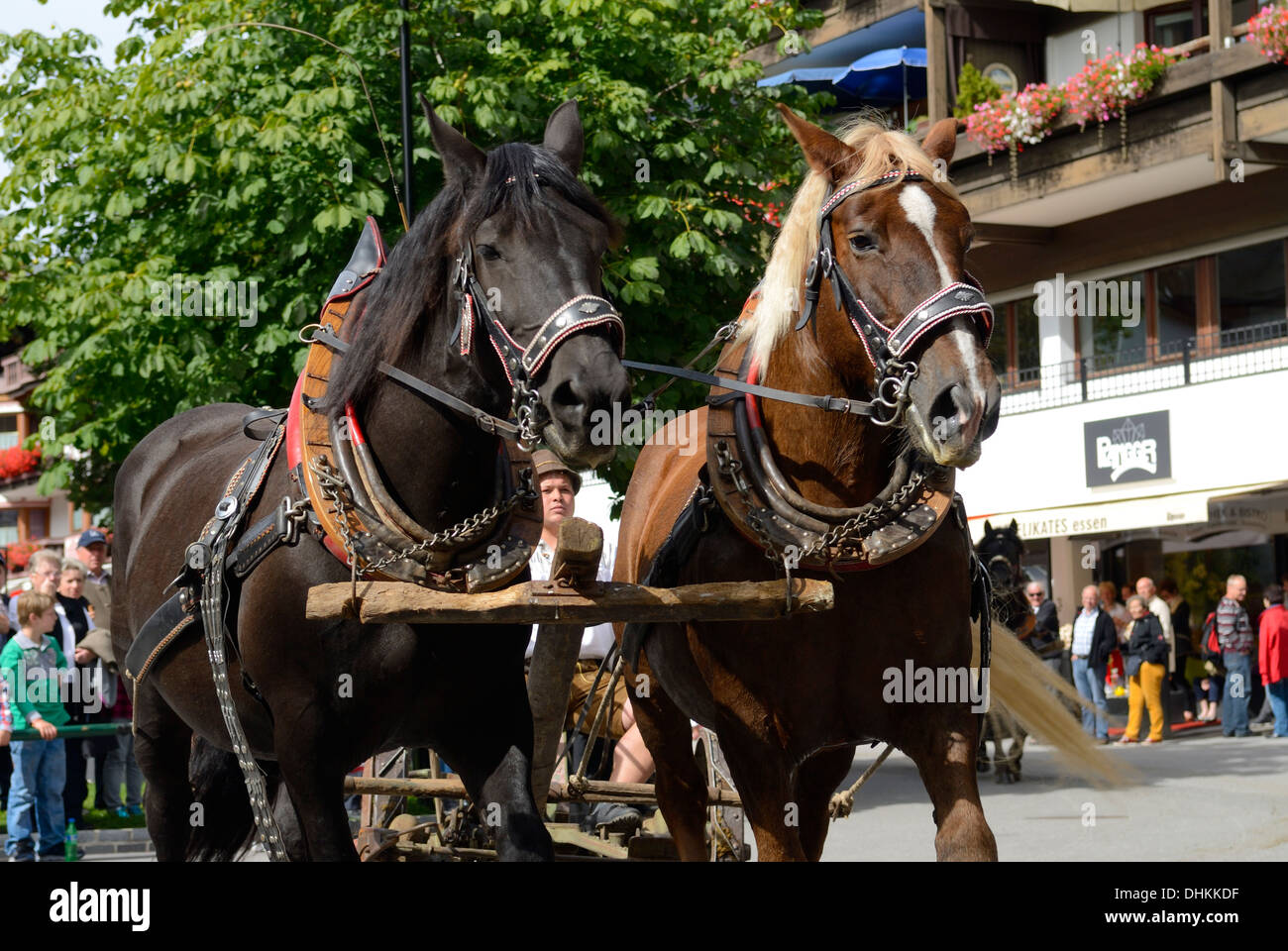 Horse parade in Seefeld Tirol Austria Stock Photo
