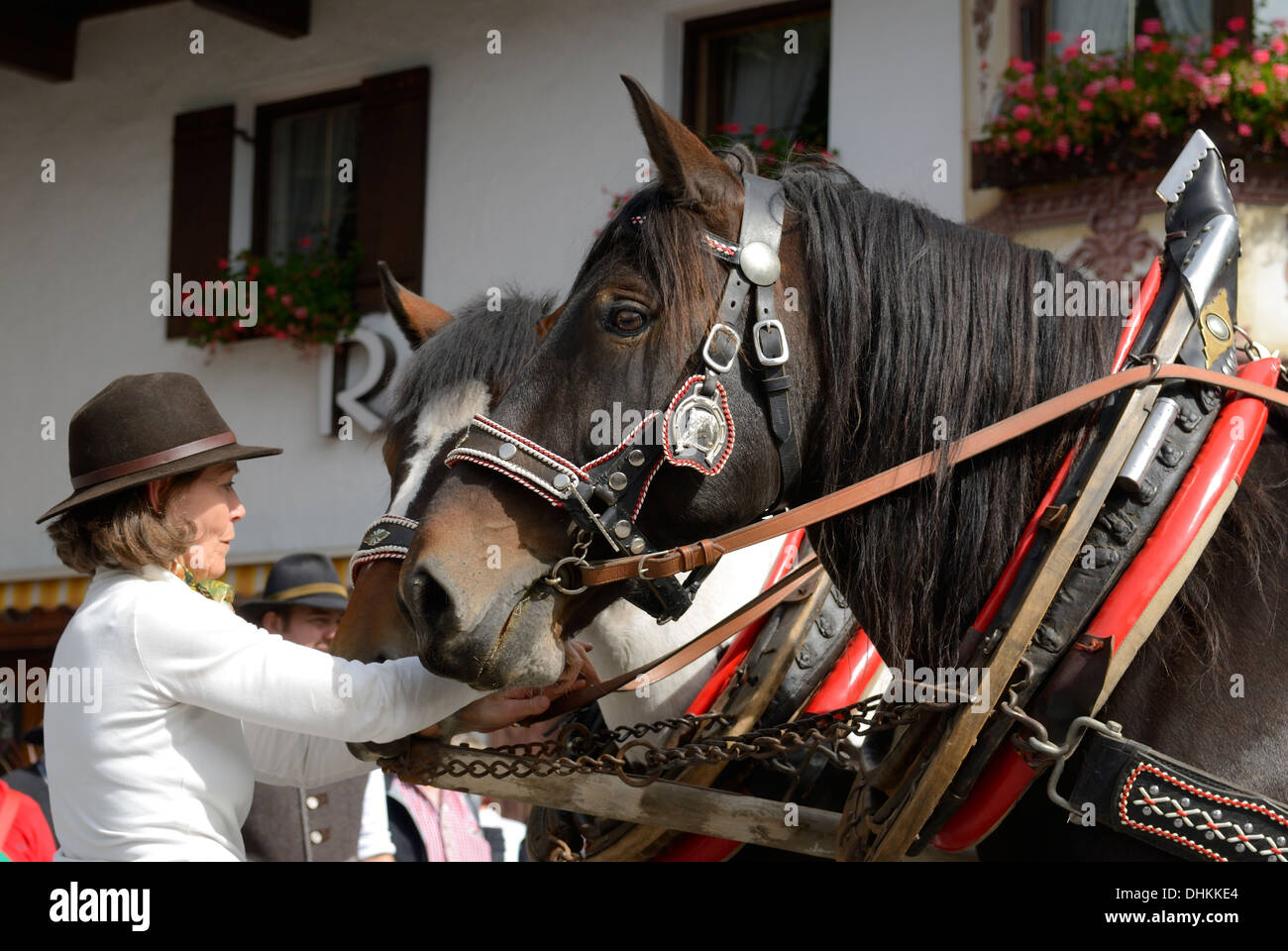 Horse parade in Seefeld Tyrol Austria Stock Photo