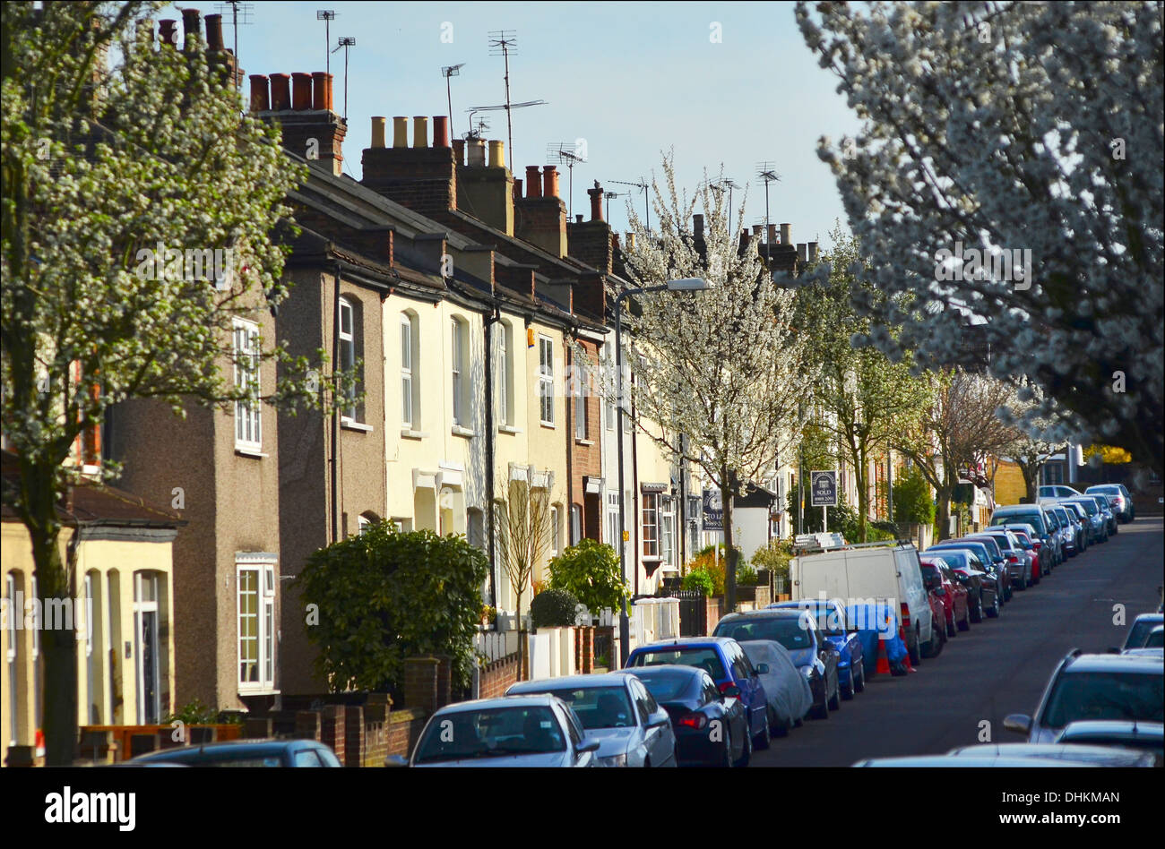 Tree lined Cowley Road, Wanstead, bathed in sunlight. Wanstead is one of Londons property hotspots Stock Photo