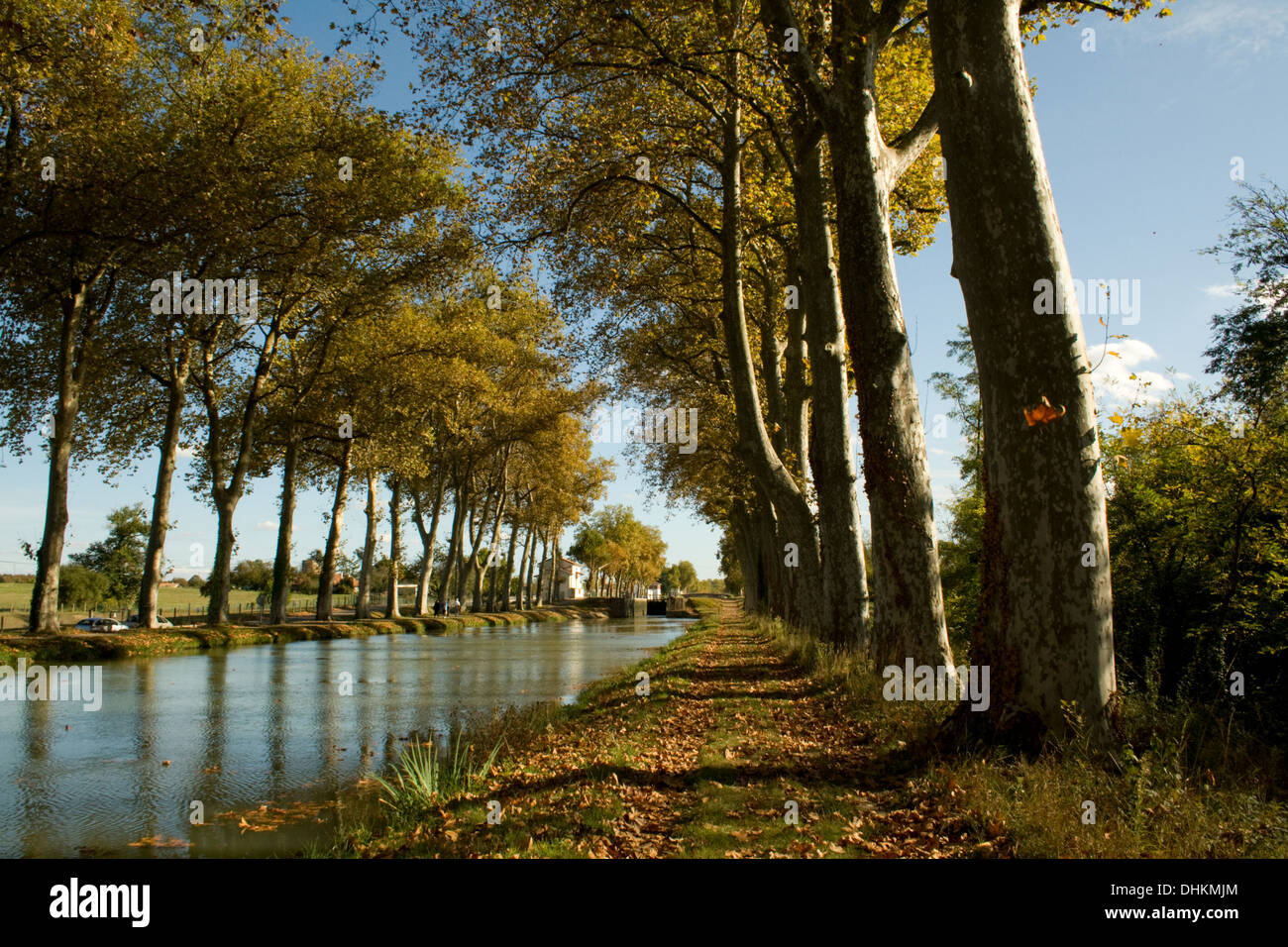 Autumn on the Canal du Midi Stock Photo