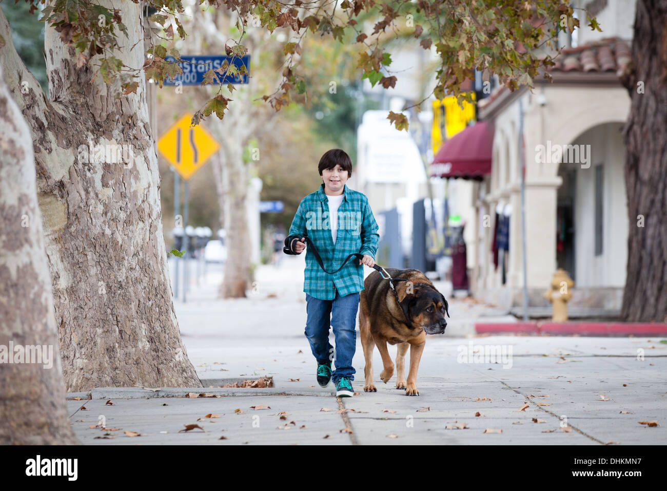 How Far Should A 10 Year Old Dog Walk