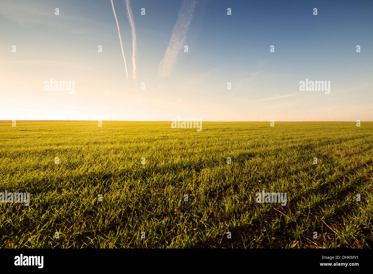 Field hill hi-res stock photography and images - Alamy
