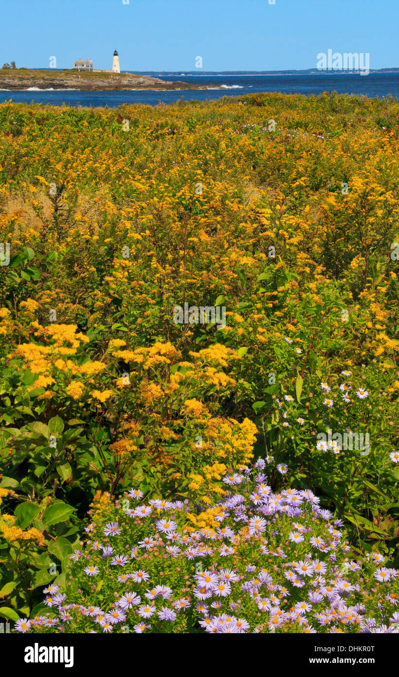 East Point Sanctuary, Wood Island Lighthouse, Biddeford Pool, Maine