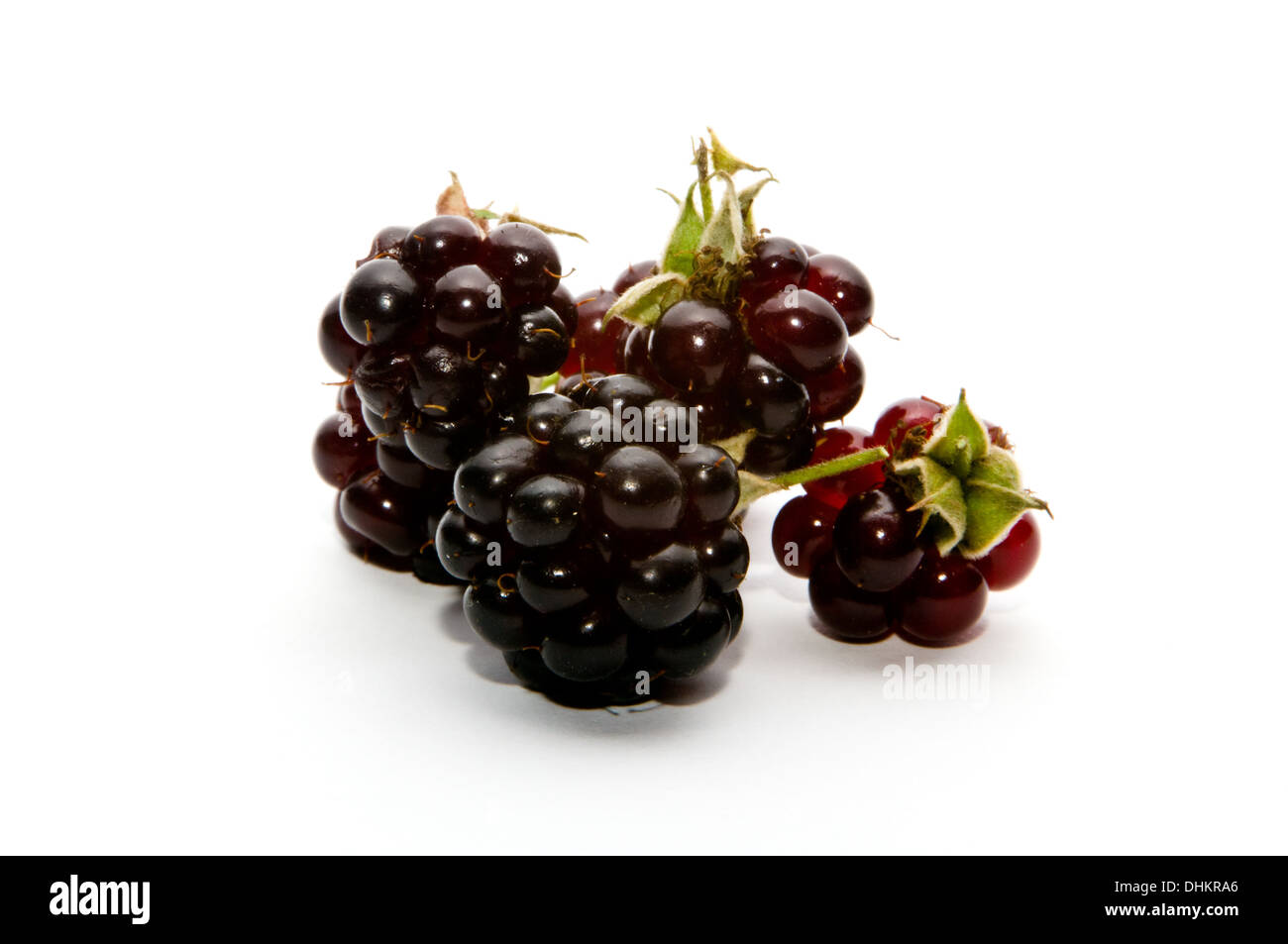 wild blackberry Stock Photo