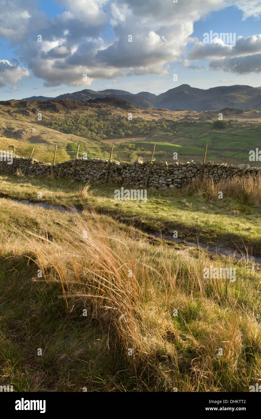 A vertical image of a dry stone wall along one of the footpaths through Watendlath fells. Stock Photo