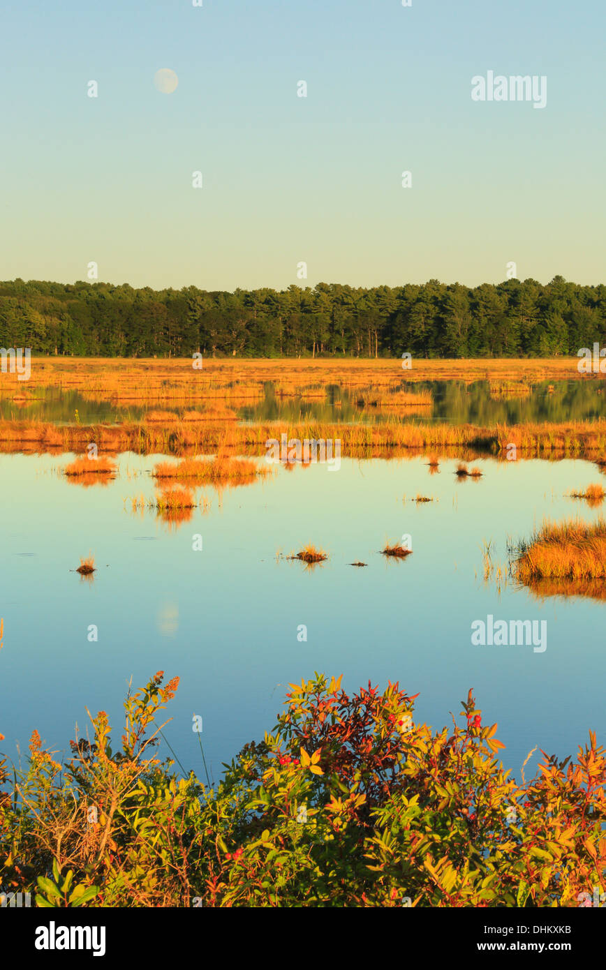 Moonrise, Scarborough Marsh.Eastern Trail.Scarborough, Maine, USA Stock