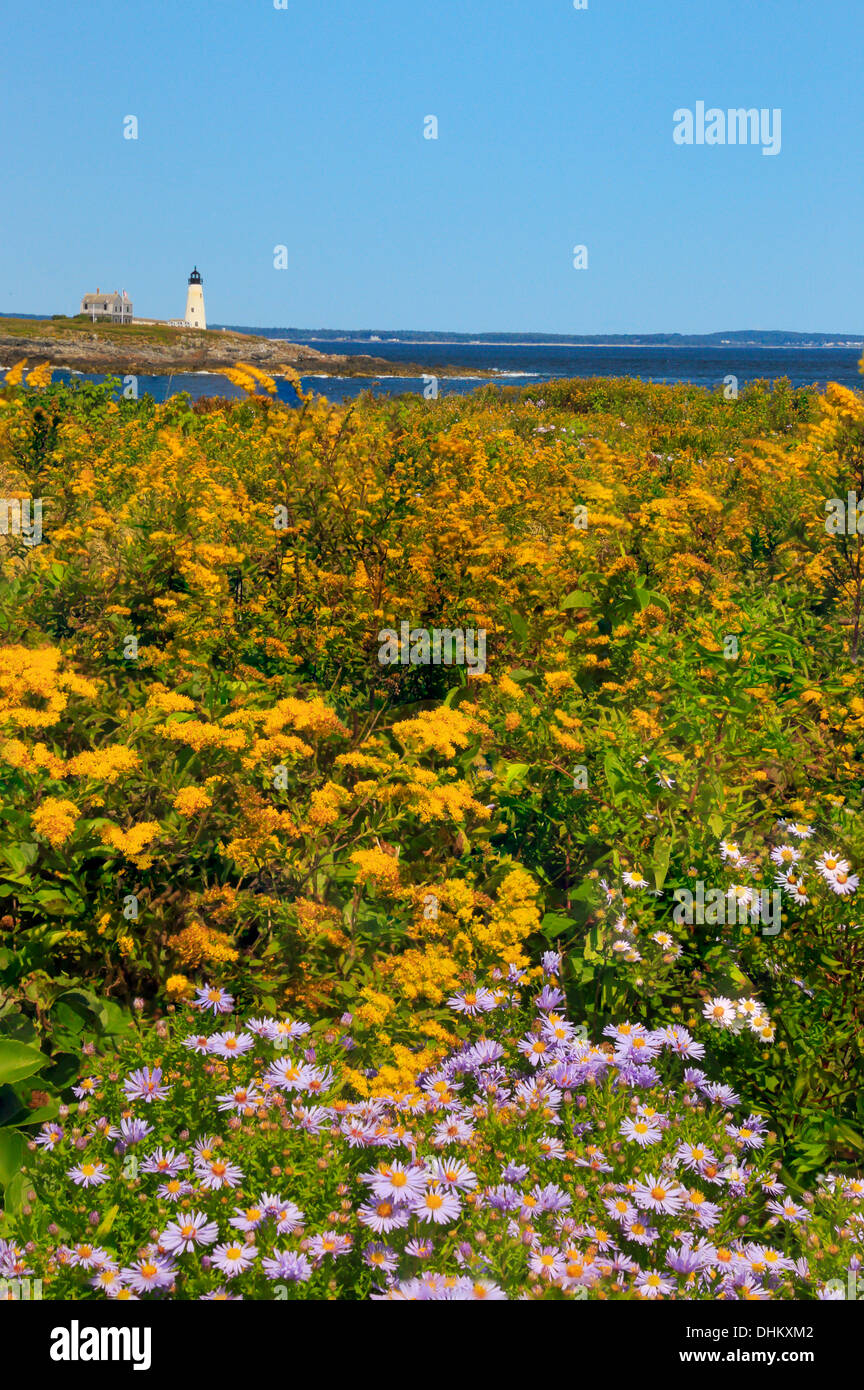 East Point Sanctuary, Wood Island Lighthouse, Biddeford Pool, Maine