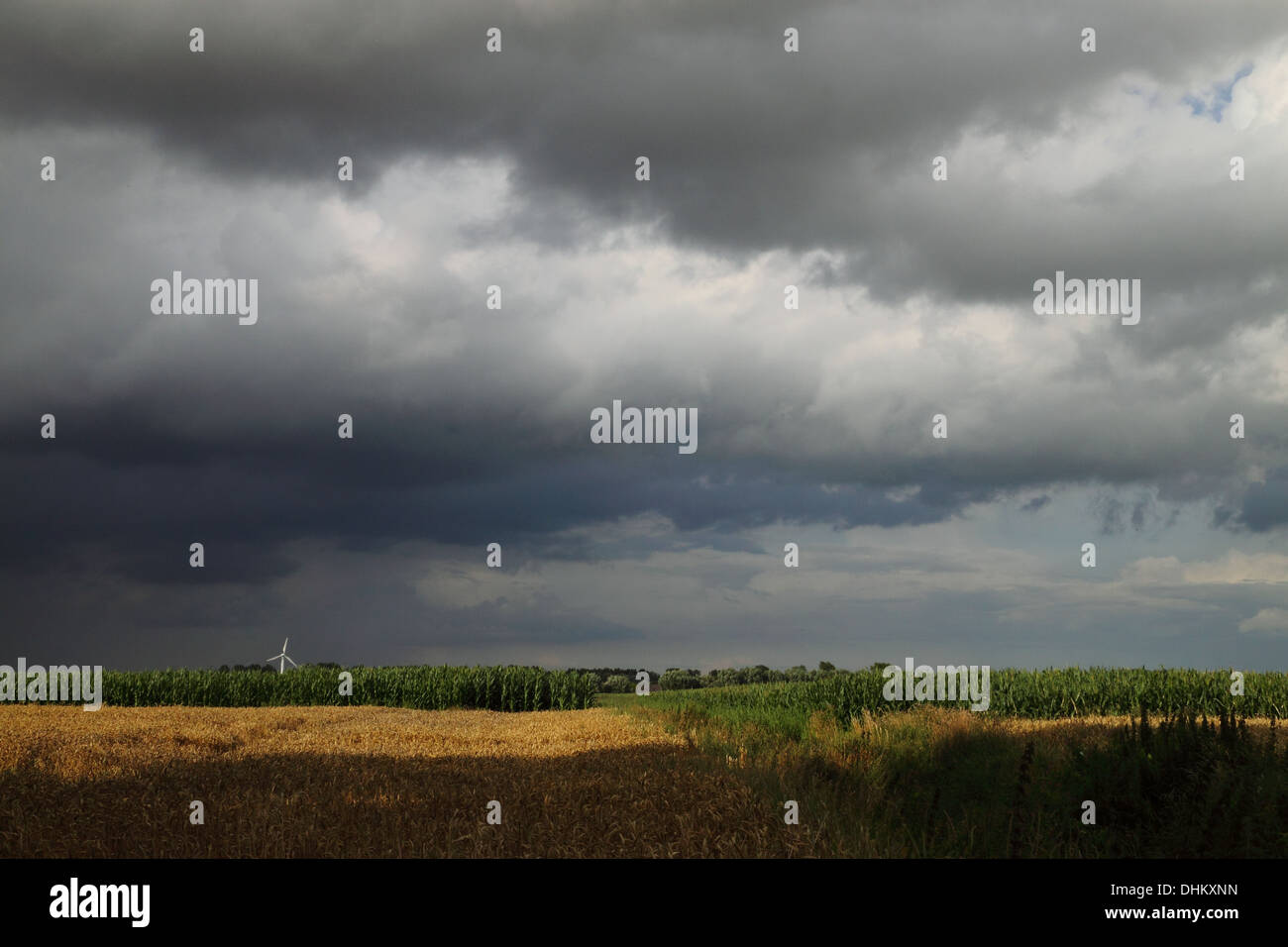 weather Stock Photo