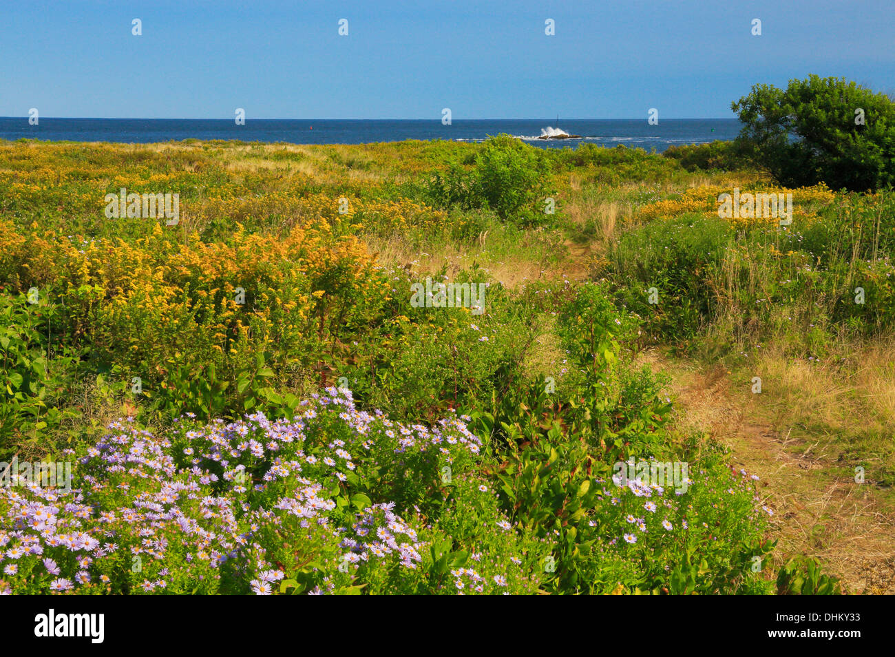 East Point Sanctuary, Biddeford Pool, Maine, USA Stock Photo Alamy