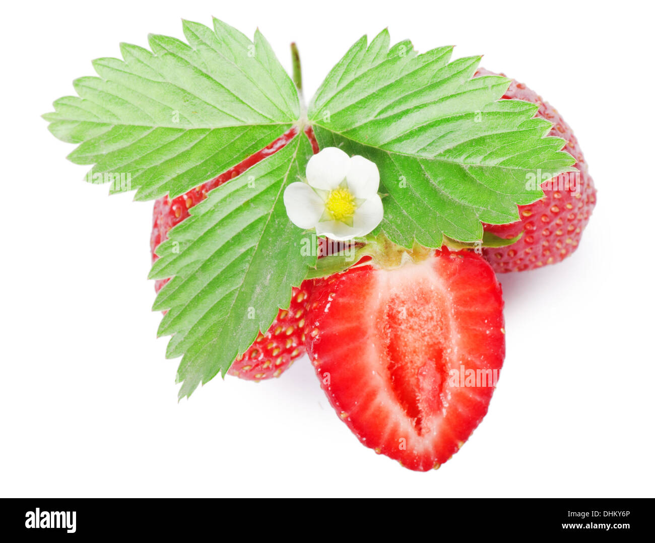 Close shot strawberry flower hi-res stock photography and images - Alamy