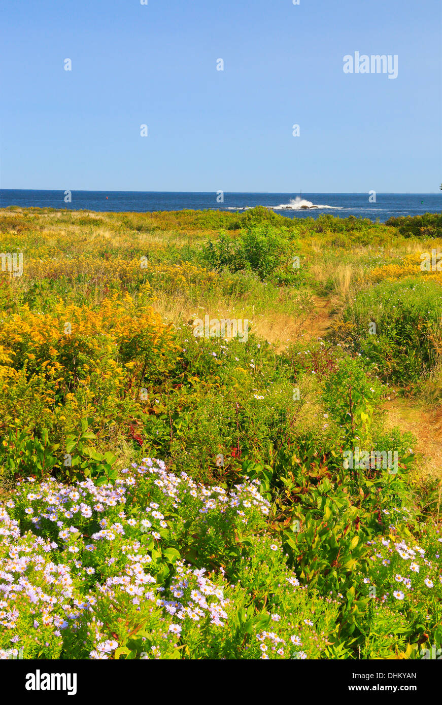 East Point Sanctuary, Biddeford Pool, Maine, USA Stock Photo Alamy