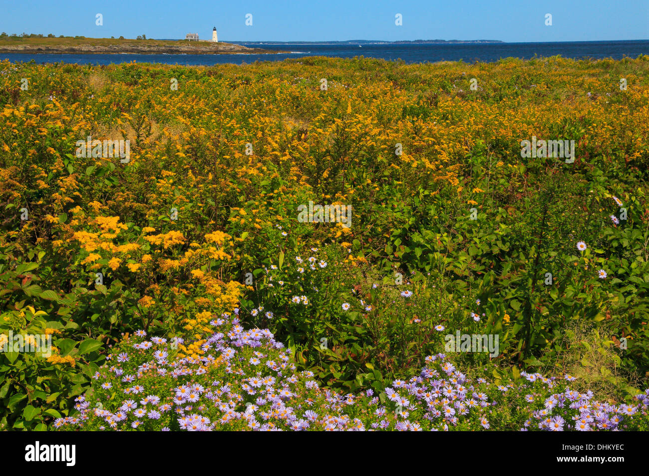 East Point Sanctuary, Wood Island Lighthouse, Biddeford Pool, Maine