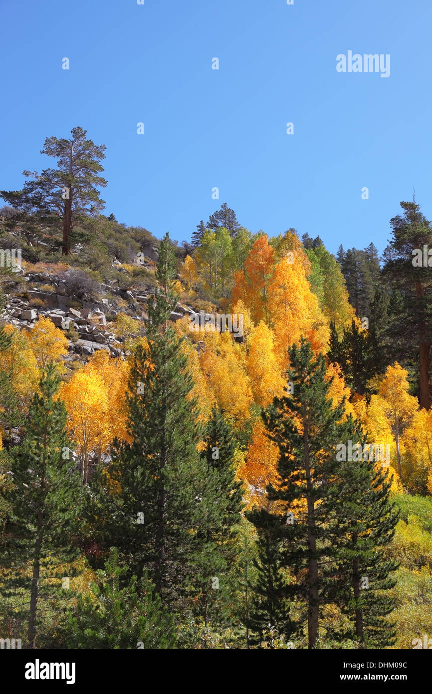 Slopes in mountain hi-res stock photography and images - Alamy
