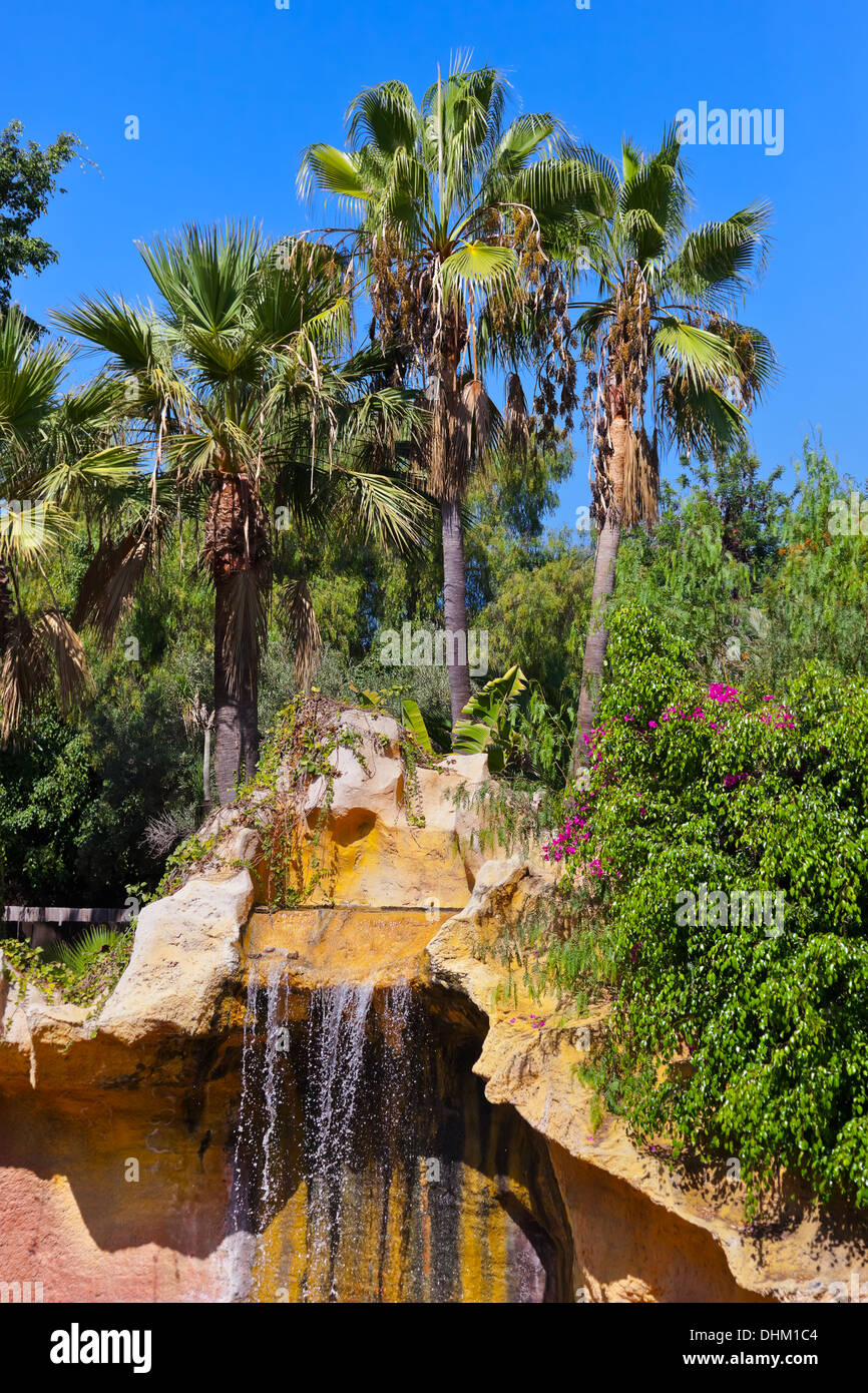 Waterfall in Jungle park at Tenerife Canary Stock Photo