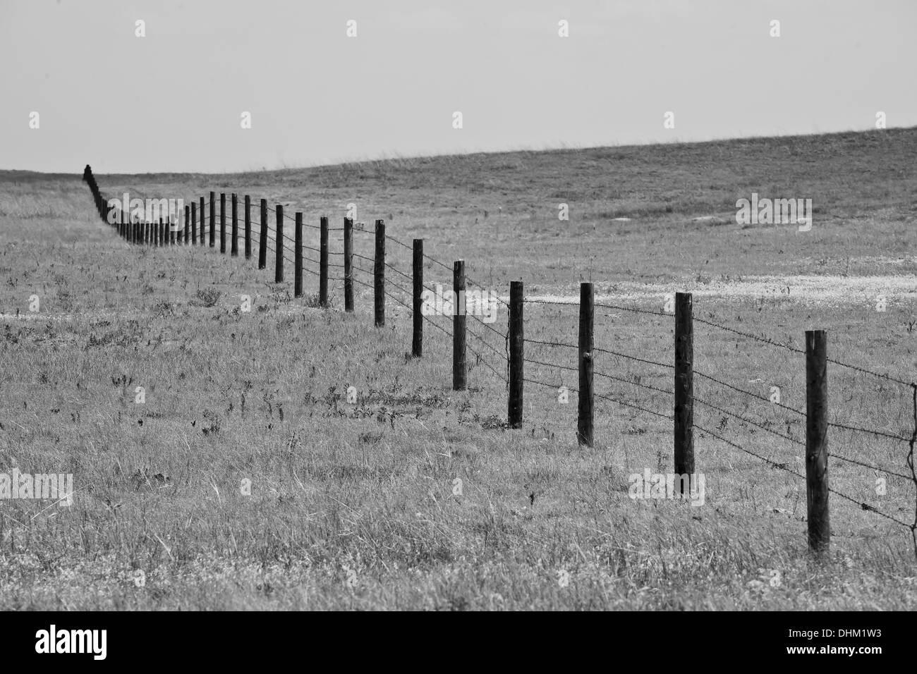 Fence dividing rangeland in the prairie of Crescent Lake National Wildlife Refuge, located in the Nebraska sandhills Stock Photo