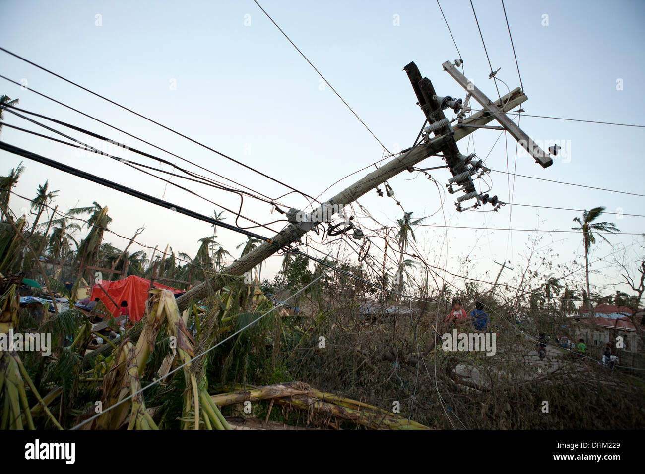 Daanbantayan, Cebu, Philippines. 10th Nov, 2013. Downed telephone poles