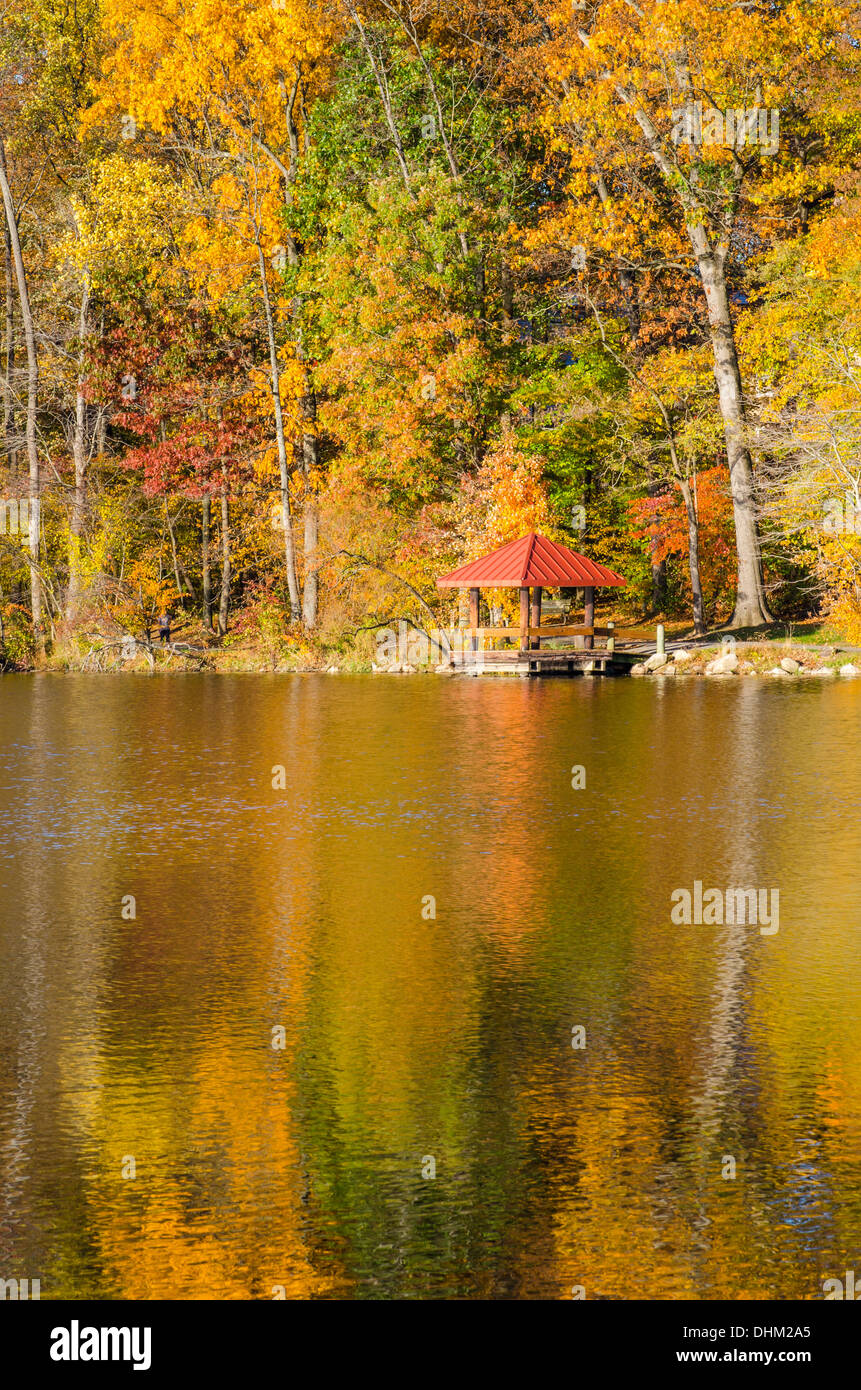 Fall Colors on the trees reflecting in Lake Elkhorn in Columbia