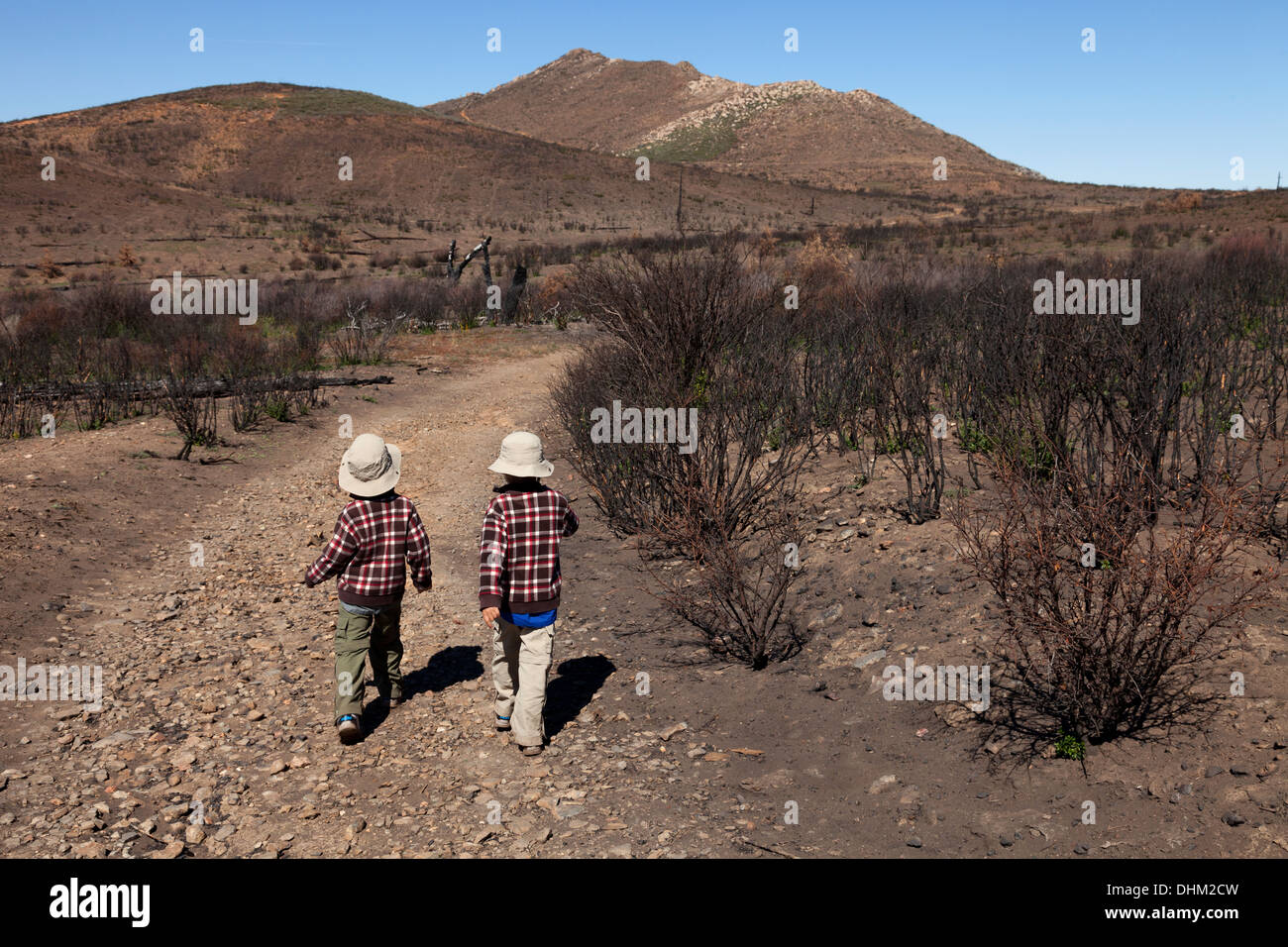 Two Brothers, aged 5 and 6, hiking on the Garnet Peak Trail, Laguna Mountains, Cleveland national Forest, California Stock Photo