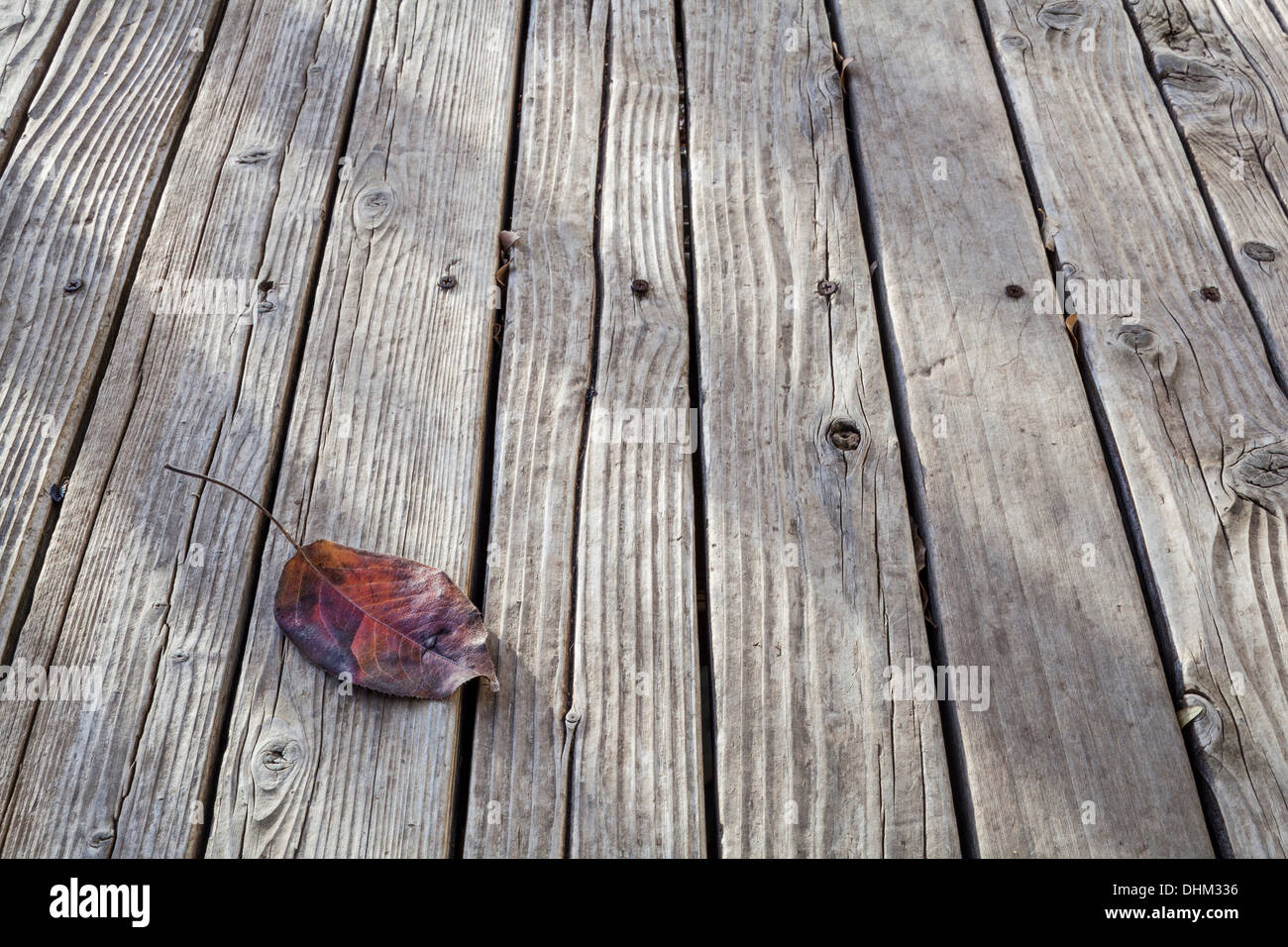 red leaf on old weathered wood deck - a low angle view Stock Photo