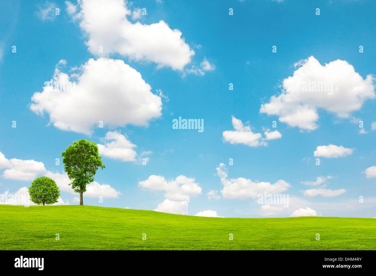 Green field and tree with blue sky and clouds Stock Photo - Alamy