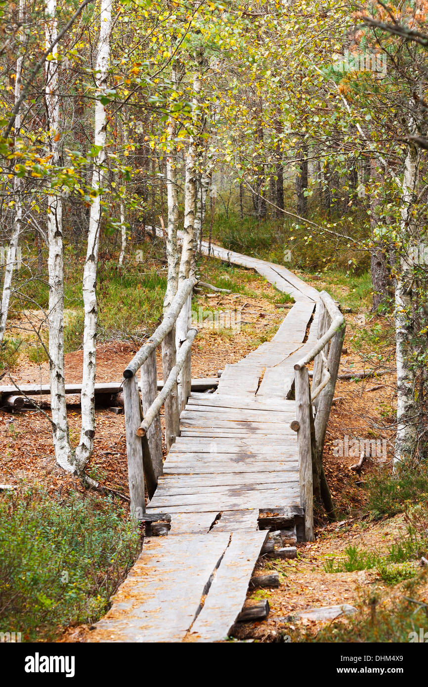 Timber foot bridge hi-res stock photography and images - Alamy