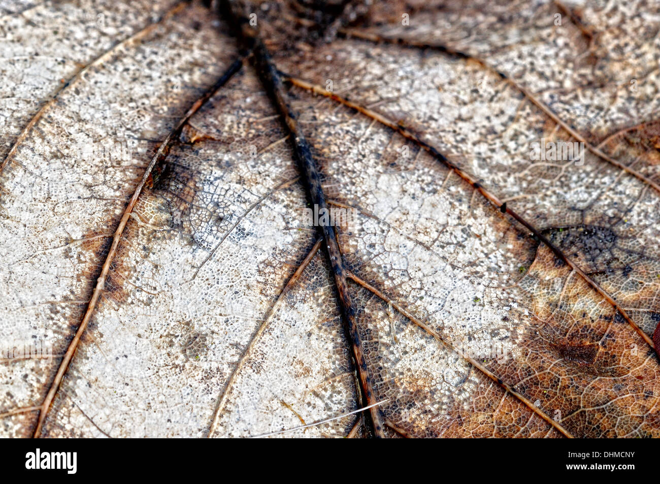 Circulation patterns hi-res stock photography and images - Alamy