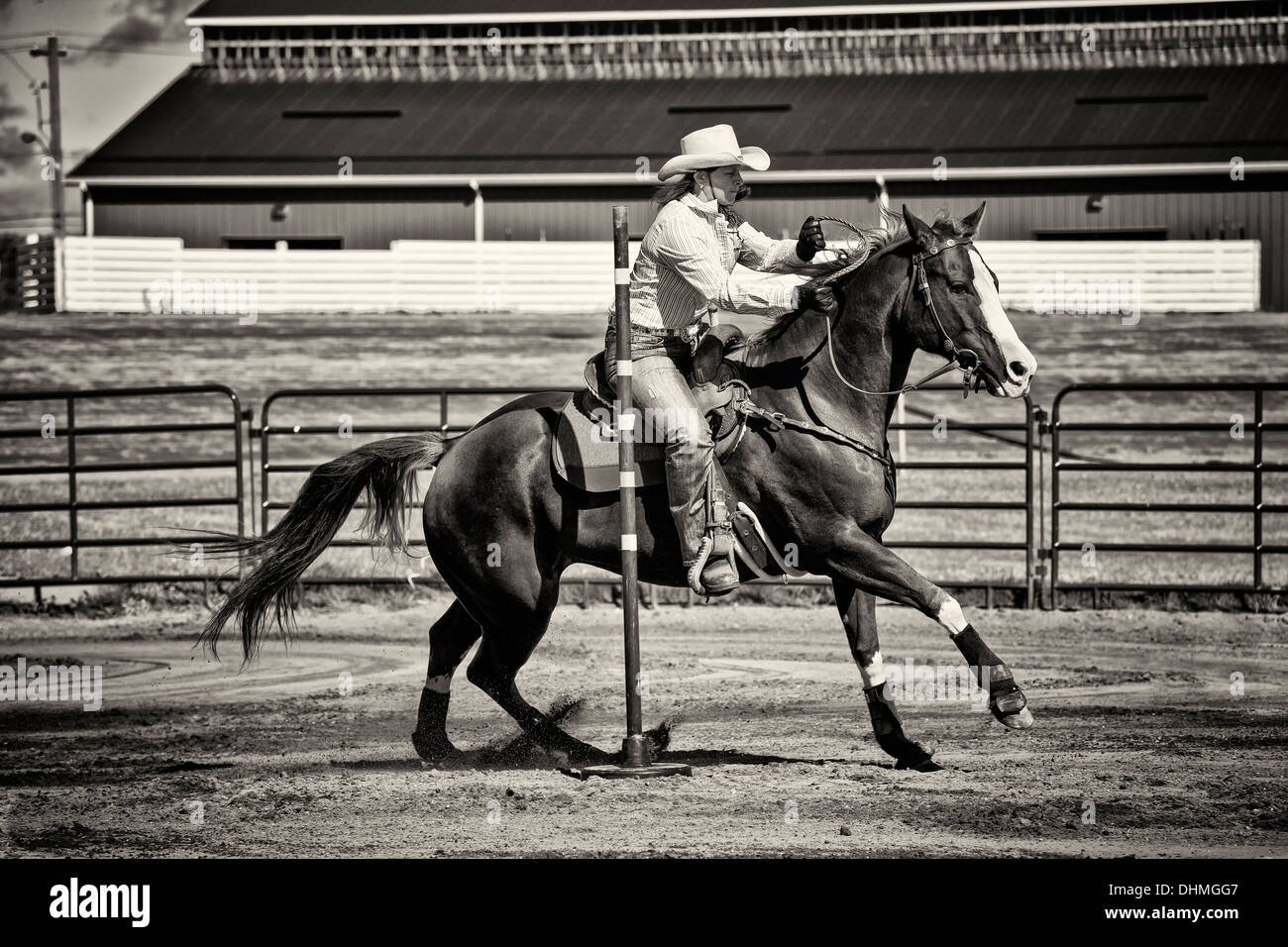 Western horse and rider competing in pole bending and barrel racing