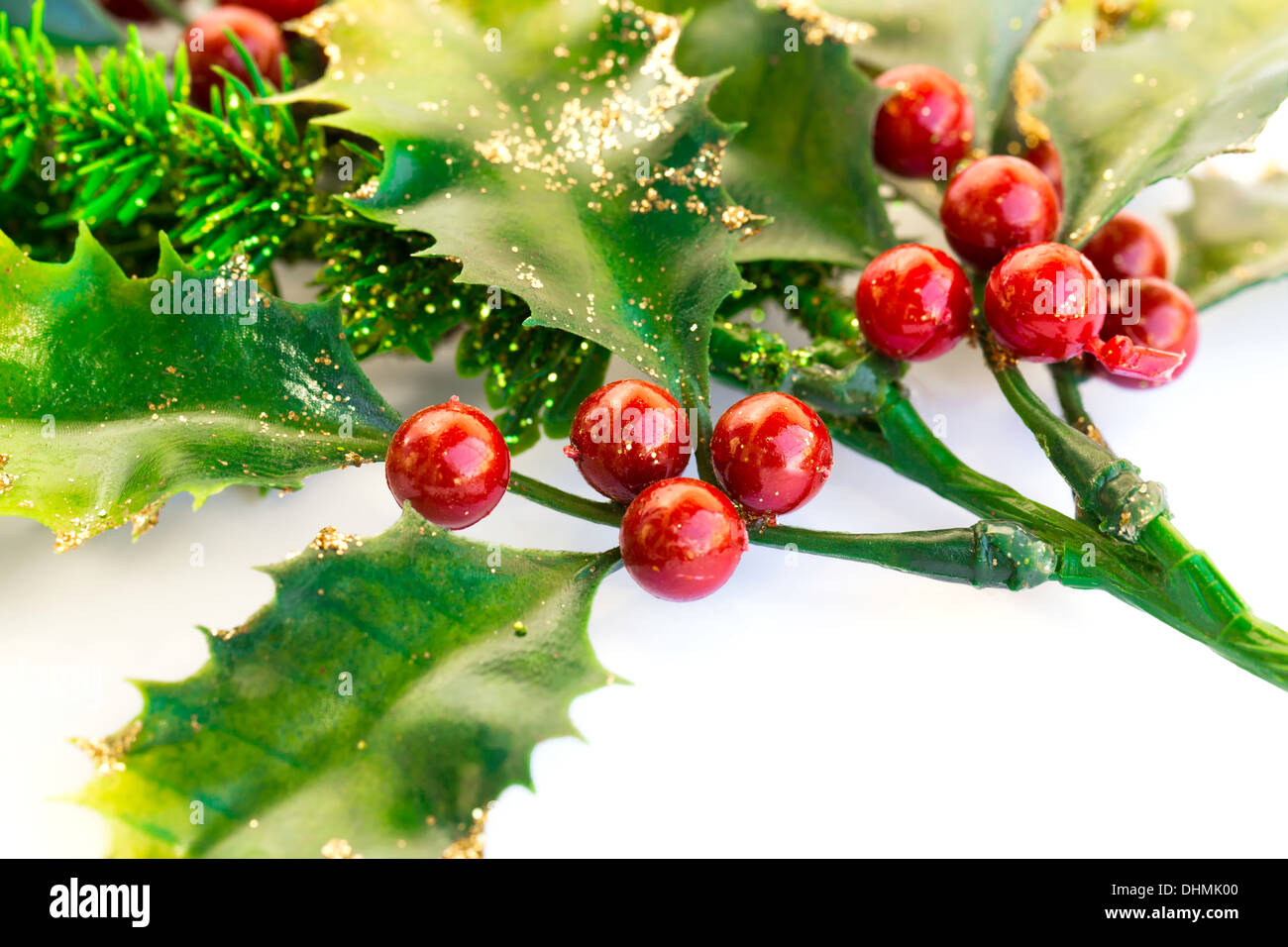 Holly berry plant with red berries on white background, Christmas decoration. Stock Photo