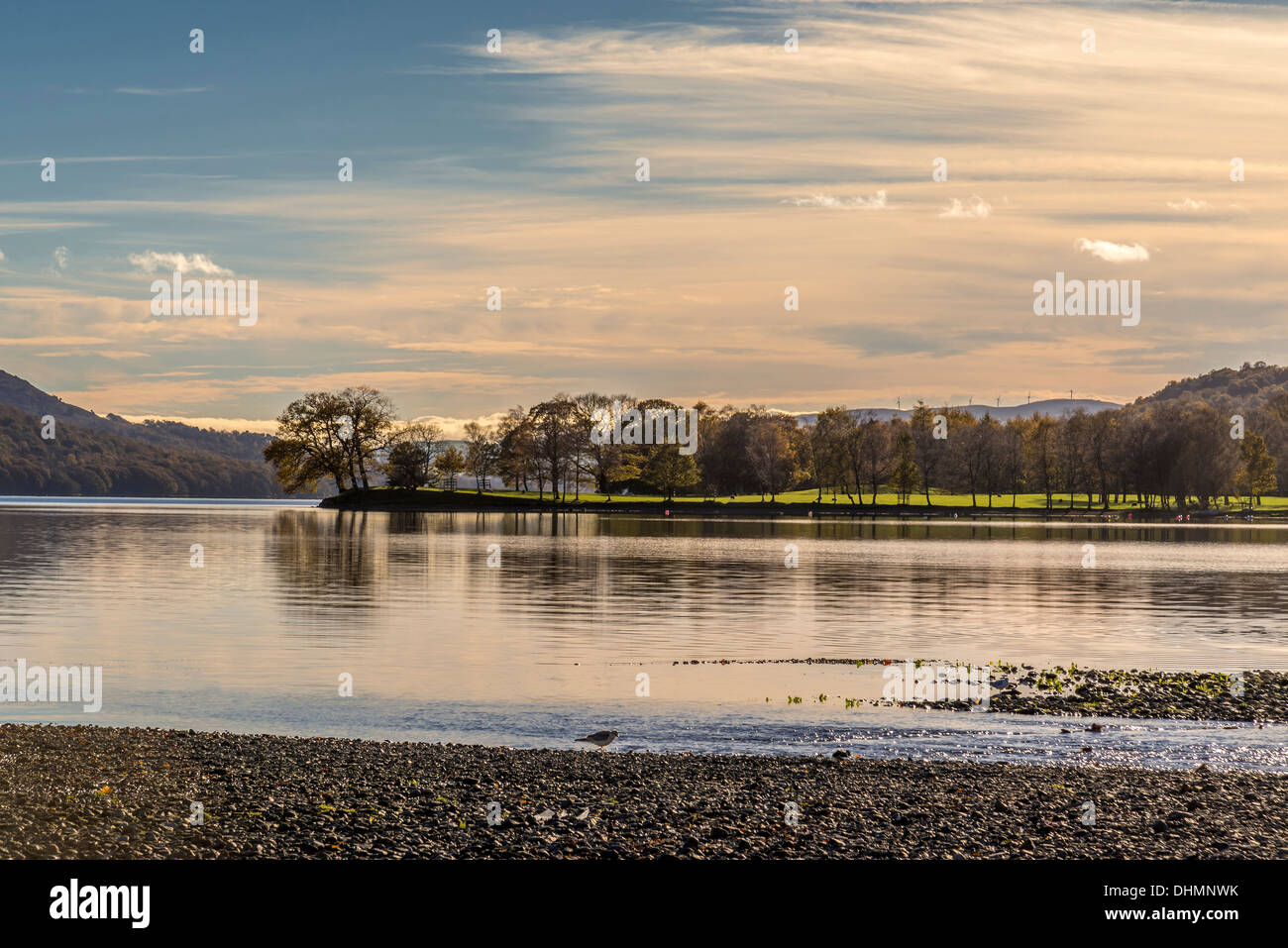 Coniston water in the Lake district of Cumbria. Flat calm millpond water. Stock Photo