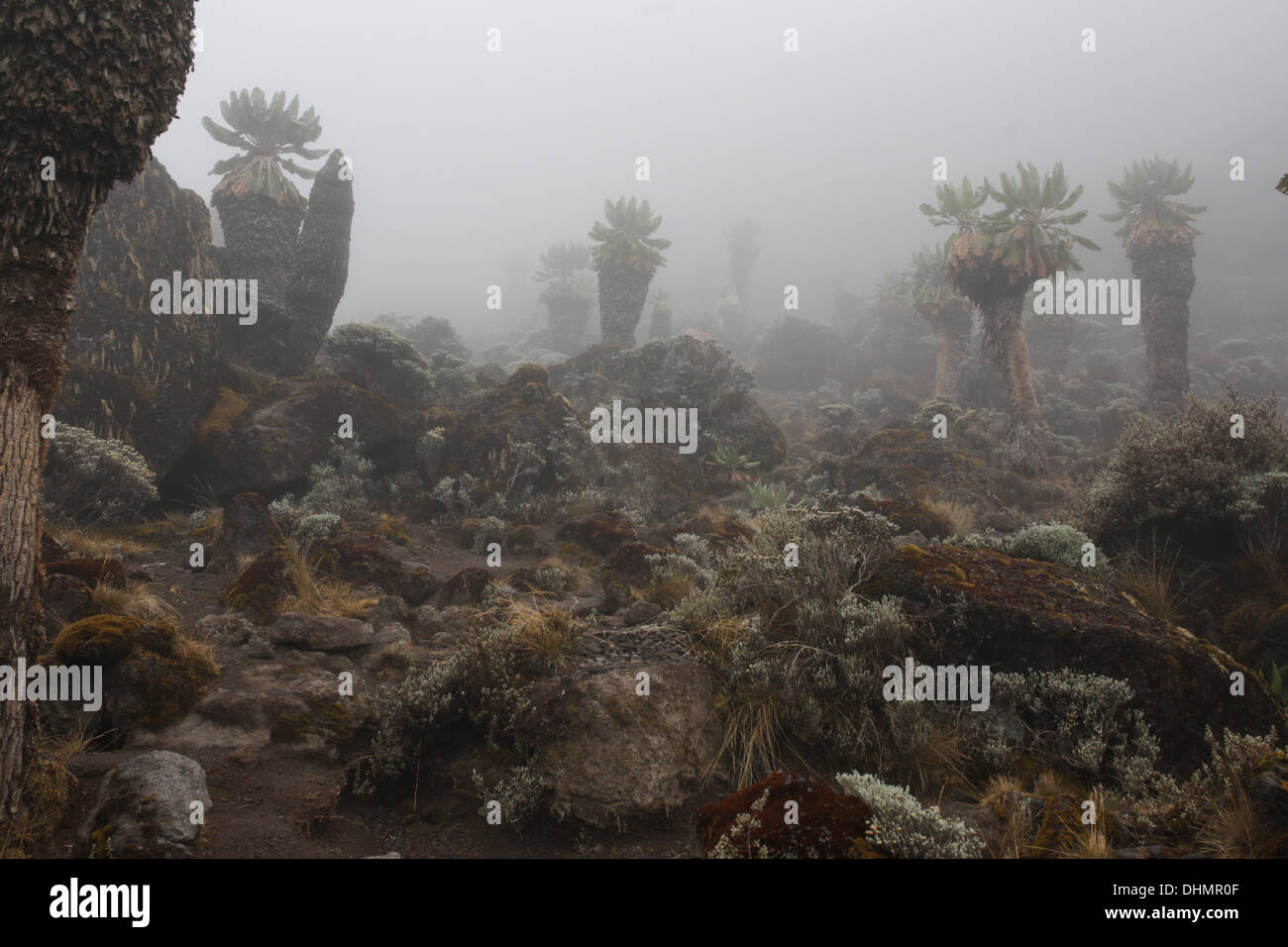 Highest free standing mountain in the world hires stock photography