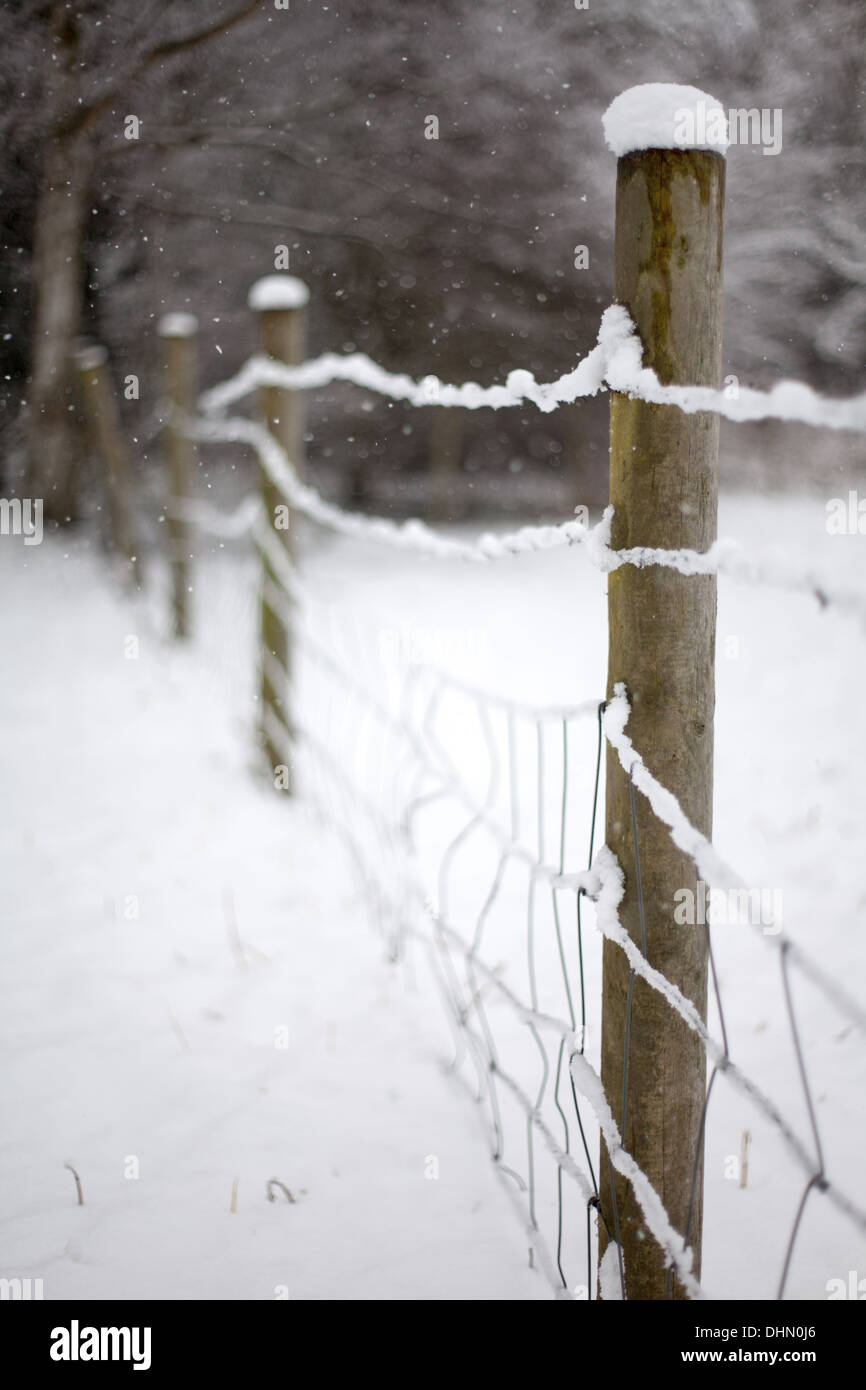 Snow covered barbed wire fence Stock Photo