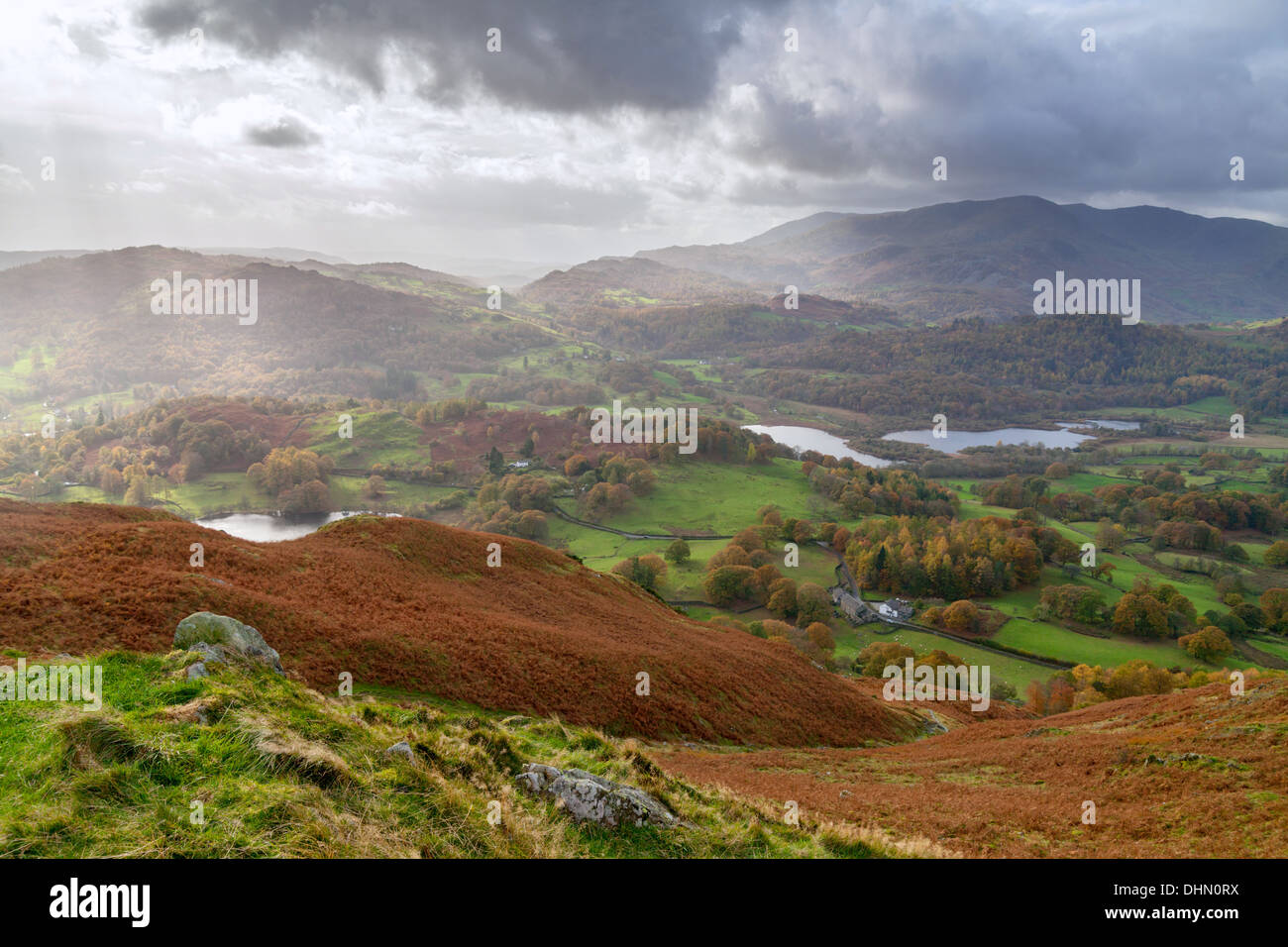 View from the top of Loughrigg Fell, looking across to Loughrigg Tarn, Elterwater and the Langdale Valley. Stock Photo