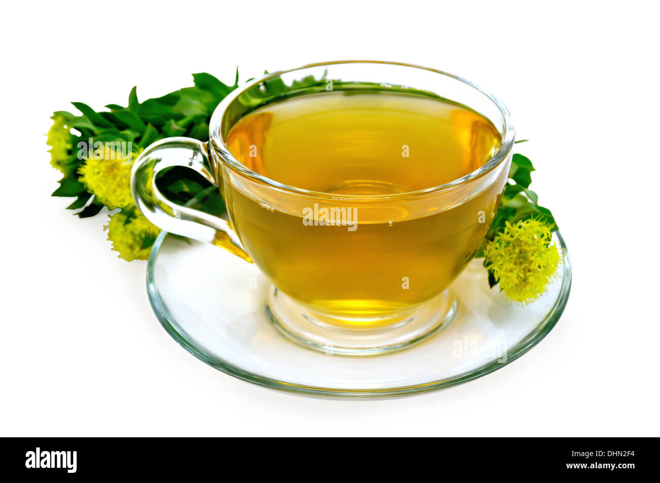 Healing herbal tea in a glass cup with a bouquet of flowers Rhodiola