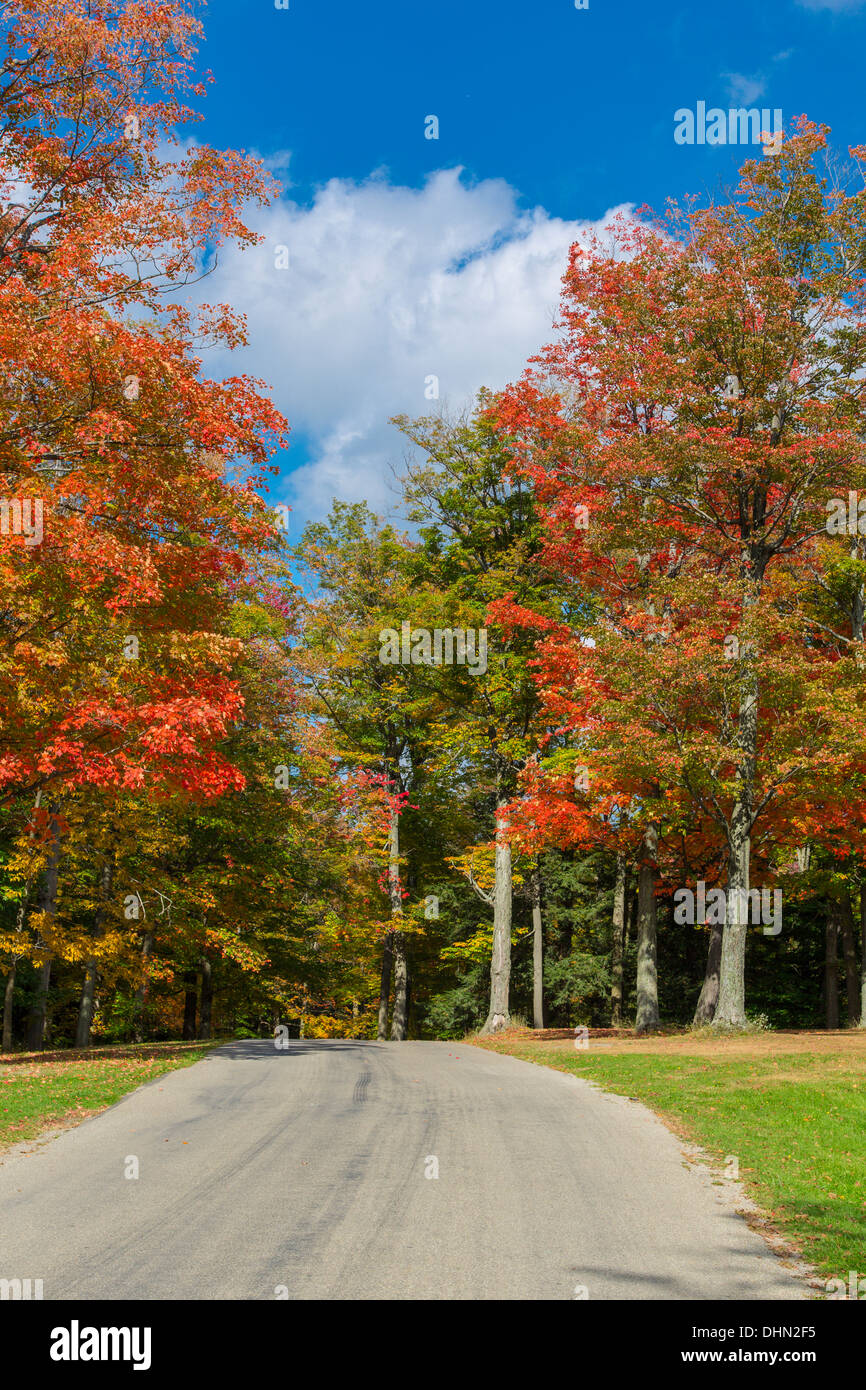 Road though Colorful fall trees in Chestnut Ridge Park in Western New York state Stock Photo