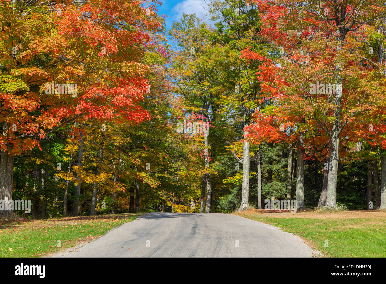 Road though Colorful fall trees in Chestnut Ridge Park in Western New York state Stock Photo
