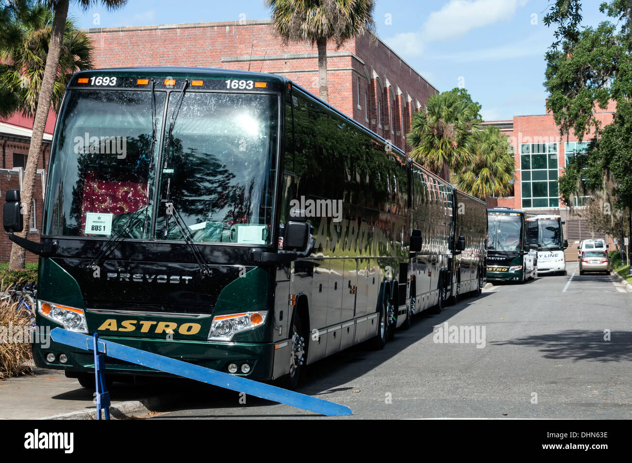 A row of buses motor coaches parked outside football stadium on UF University of Florida campus in Gainesville, Florida, USA. Stock Photo