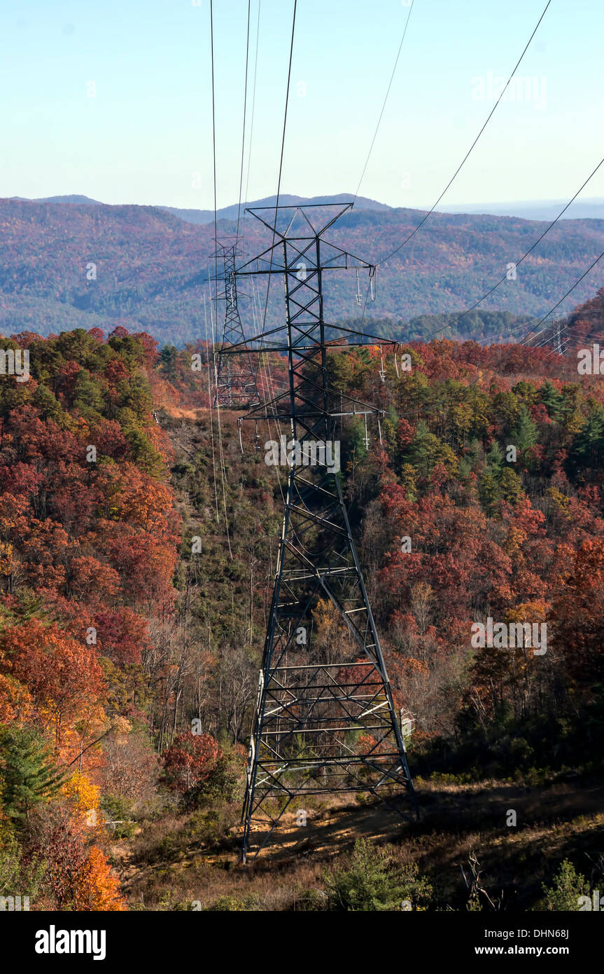 High voltage power transmission lines cut through forests of
